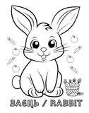 Cute animals and birds - Coloring book