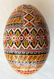 Handmade Goose Pysanka (with lines in shell) D