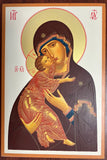 Volodymyrska Icon, 7.25 x 11.5 in