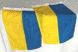 Ukrainian Flags - set of 2