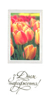 Birthday Card (3053)