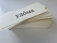 Shkola  Flash Cards (200 cards)