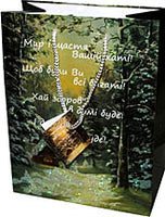 Christmas Gift Bag - 10x12 in.