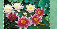 Vitajemo Waterlily 4x8 greeting card